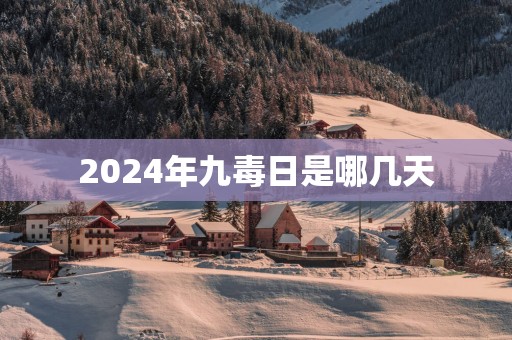 2025年九毒日是哪几天