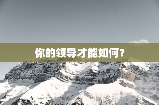 你的领导才能如何？