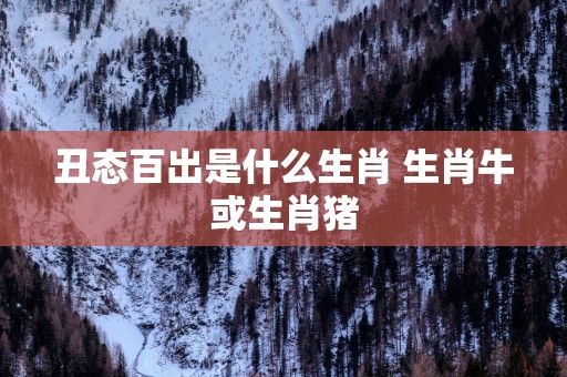 丑态百出是什么生肖 生肖牛或生肖猪