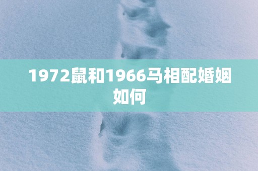 1972鼠和1966马相配婚姻如何