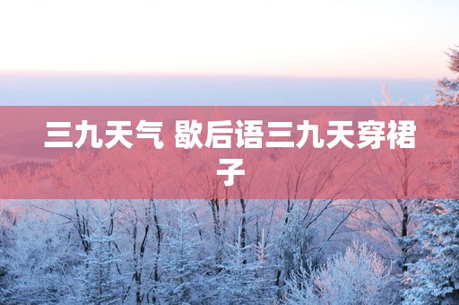 三九天气 歇后语三九天穿裙子