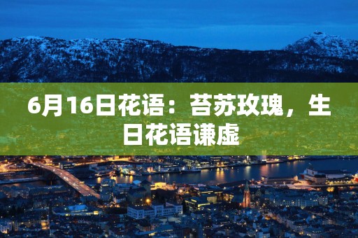6月16日花语：苔苏玫瑰，生日花语谦虚
