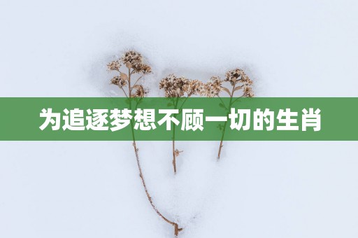 为追逐梦想不顾一切的生肖