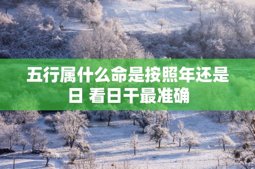 五行属什么命是按照年还是日 看日干最准确