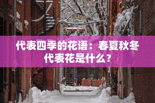 代表四季的花语：春夏秋冬代表花是什么？