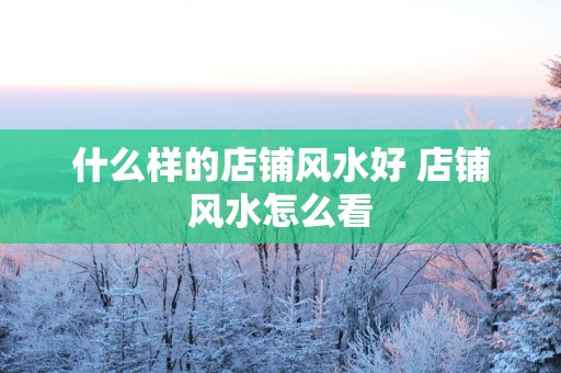 什么样的店铺风水好 店铺风水怎么看