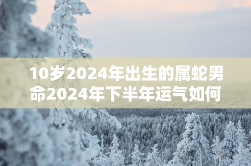 10岁2025年出生的属蛇男命2025年下半年运气如何 运势详解