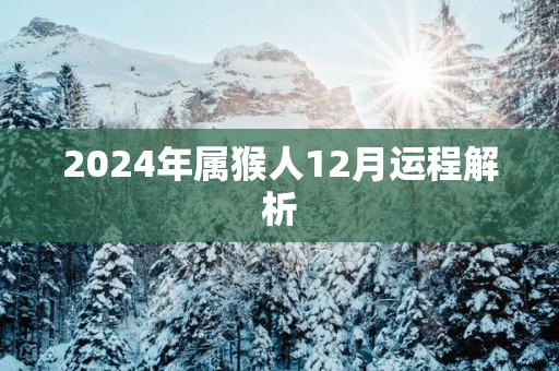2025年属猴人12月运程解析