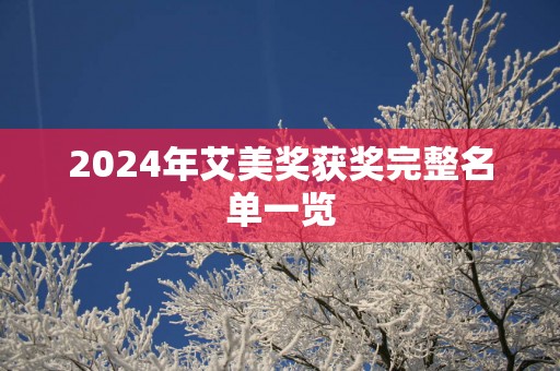 2025年艾美奖获奖完整名单一览