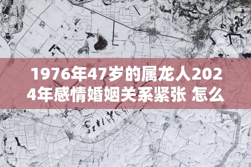 1976年47岁的属龙人2025年感情婚姻关系紧张 怎么化解不利