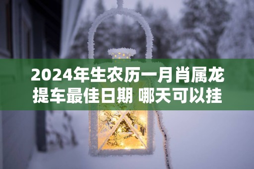 2025年生农历一月肖属龙提车最佳日期 哪天可以挂牌
