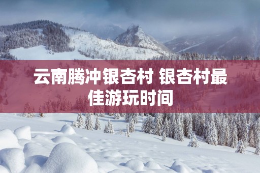 云南腾冲银杏村 银杏村最佳游玩时间