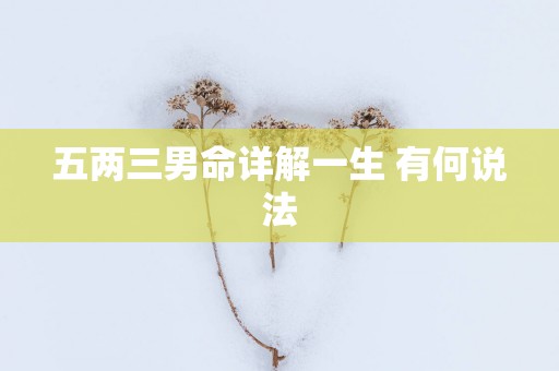 五两三男命详解一生 有何说法