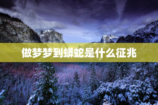 做梦梦到蟒蛇是什么征兆