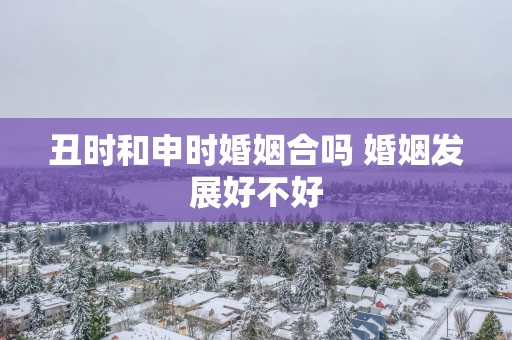 丑时和申时婚姻合吗 婚姻发展好不好