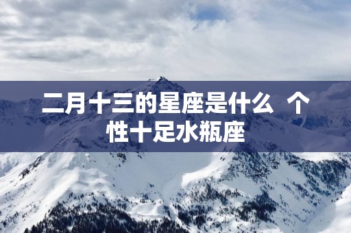 二月十三的星座是什么  个性十足水瓶座