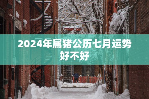 2025年属猪公历七月运势好不好
