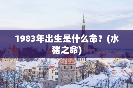 1983年出生是什么命？(水猪之命)