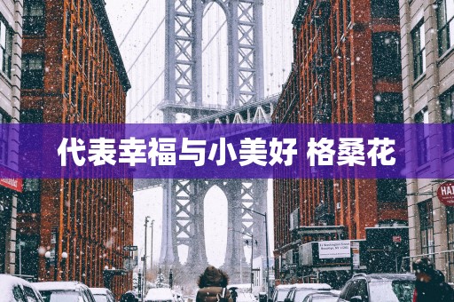 代表幸福与小美好 格桑花