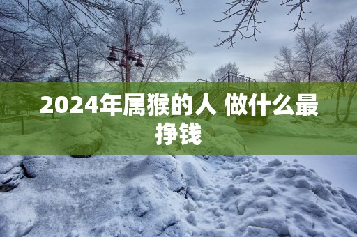 2025年属猴的人 做什么最挣钱