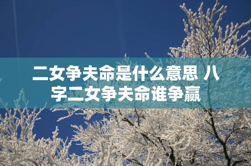 二女争夫命是什么意思 八字二女争夫命谁争赢