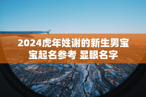 2025蛇年姓谢的新生男宝宝起名参考 显眼名字