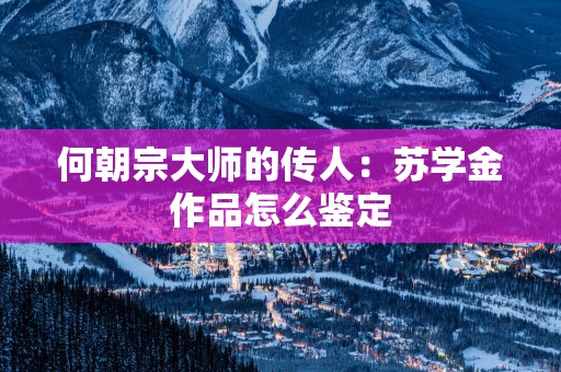 何朝宗大师的传人：苏学金作品怎么鉴定