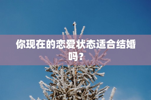 你现在的恋爱状态适合结婚吗？