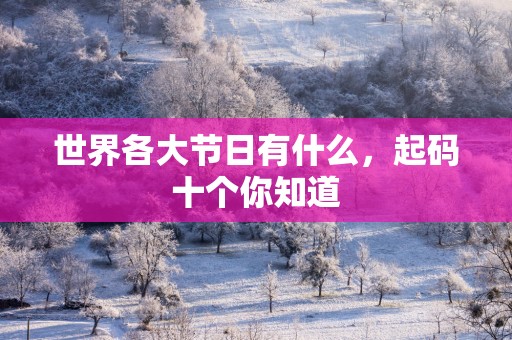 世界各大节日有什么，起码十个你知道