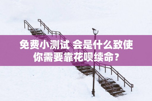 免费小测试 会是什么致使你需要靠花呗续命？