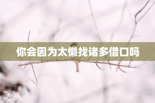 你会因为太懒找诸多借口吗