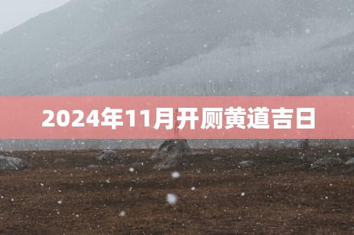 2025年11月开厕黄道吉日