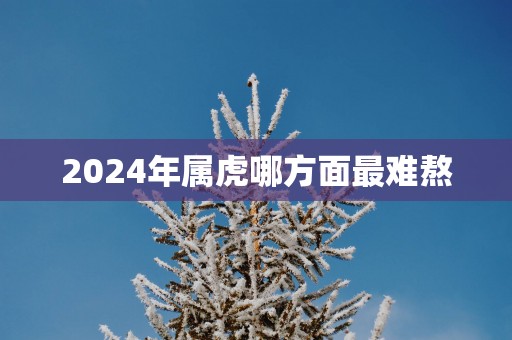 2025年属虎哪方面最难熬