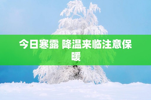 今日寒露 降温来临注意保暖