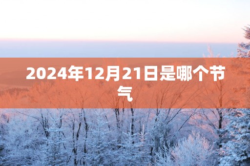 2025年12月21日是哪个节气