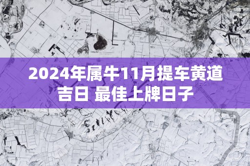 2025年属牛11月提车黄道吉日 最佳上牌日子