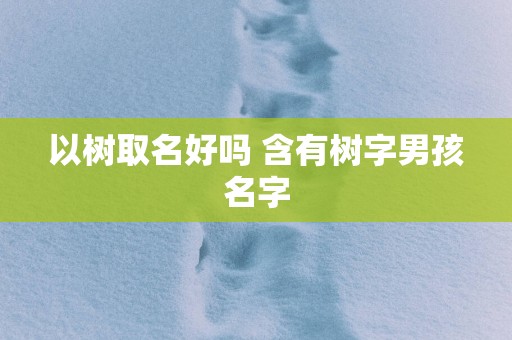 以树取名好吗 含有树字男孩名字