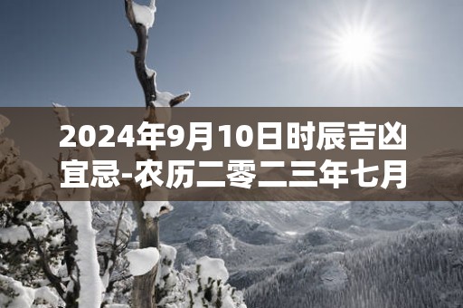 2025年9月10日时辰吉凶宜忌-农历二零二三年七月月廿六日吉时