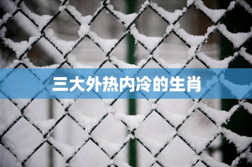 三大外热内冷的生肖