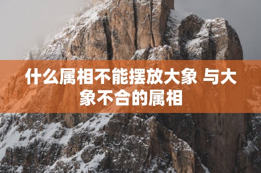 什么属相不能摆放大象 与大象不合的属相