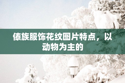 傣族服饰花纹图片特点，以动物为主的