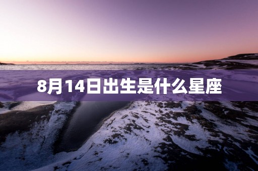 8月14日出生是什么星座