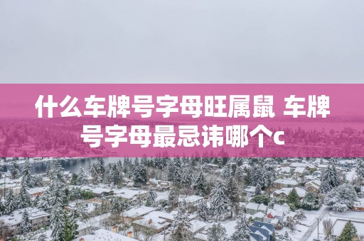 什么车牌号字母旺属鼠 车牌号字母最忌讳哪个c