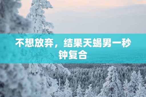 不想放弃，结果天蝎男一秒钟复合