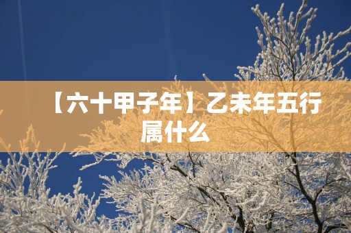 【六十甲子年】乙未年五行属什么