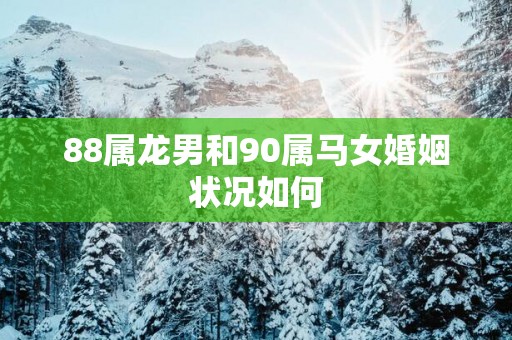 88属龙男和90属马女婚姻状况如何