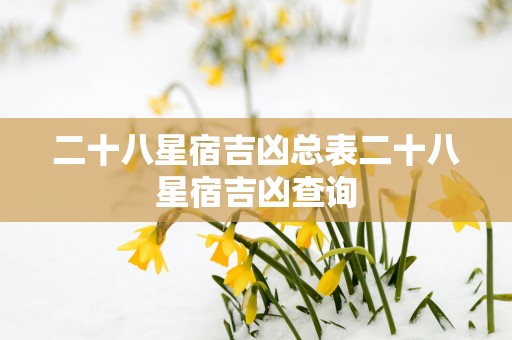 二十八星宿吉凶总表二十八星宿吉凶查询