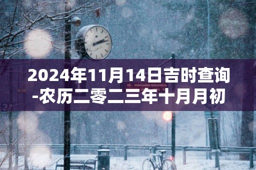2025年11月14日吉时查询-农历二零二三年十月月初二日时辰吉凶