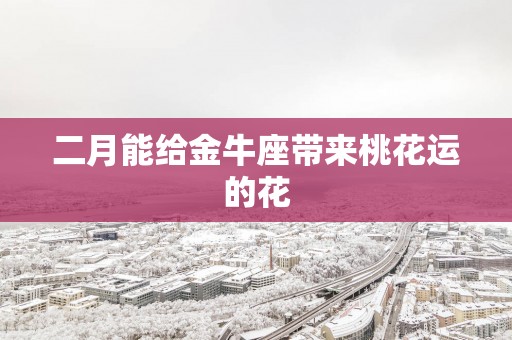 二月能给金牛座带来桃花运的花