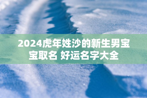 2025蛇年姓沙的新生男宝宝取名 好运名字大全